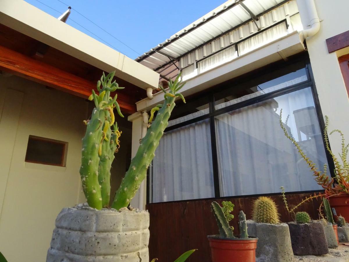 Casa Cactus Cafayate Hotel Exterior photo